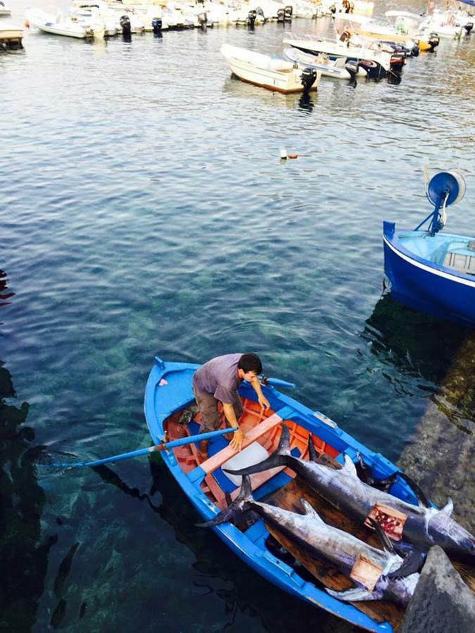 Mareblu Apartman Scilla Kültér fotó